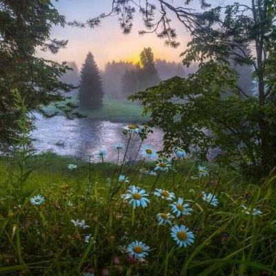 星空下载app下载